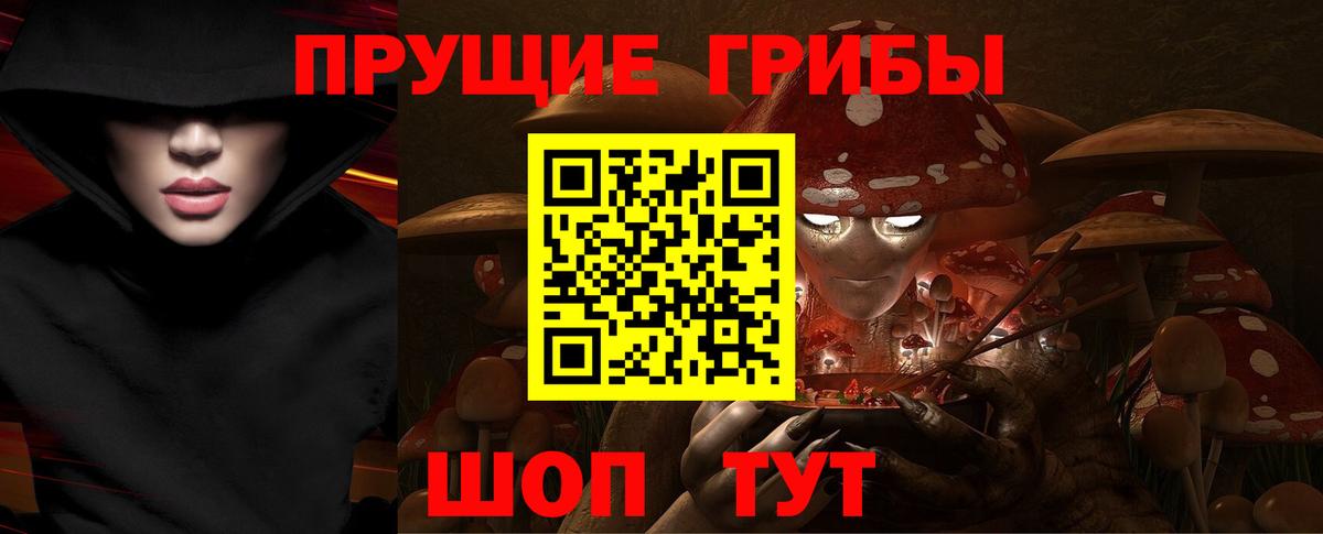 Галлюциногенные грибы Psilocybe  Вход с VPN  Боровичи  Галлюциногенные грибы Cubensis 